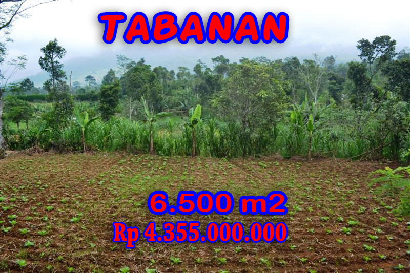 Tanah di Tabanan dijual