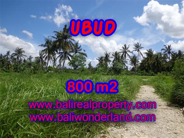 Tanah Ubud dijual