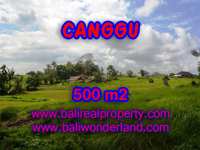 Jual tanah di Canggu Bali 5 Are di Batu Bolong