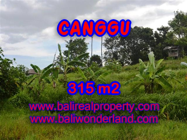 Tanah di Bali dijual 315 m2 di canggu brawa