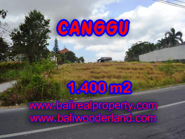 Tanah dijual di Canggu 14 Are View sawah di Batu Bolong Bali