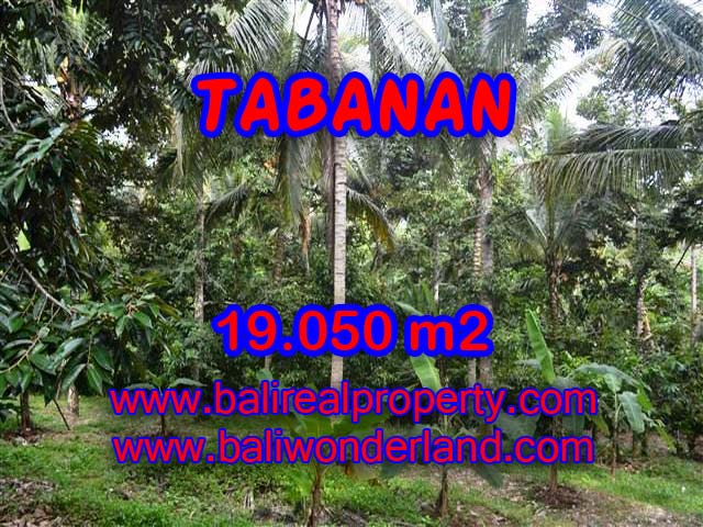 TANAH DIJUAL DI TABANAN MURAH RP 200.000 / M2 - TJTB092