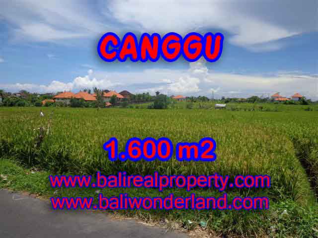 TANAH DIJUAL DI CANGGU