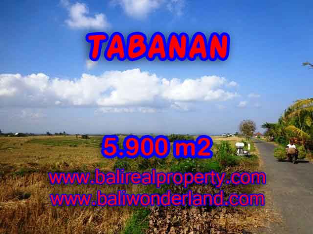 JUAL TANAH DI TABANAN BALI MURAH CUMA RP 750.000 / M2