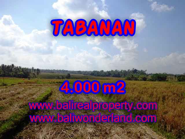 TANAH DIJUAL DI TABANAN MURAH TJTB132 - PELUANG INVESTASI PROPERTY DI BALI