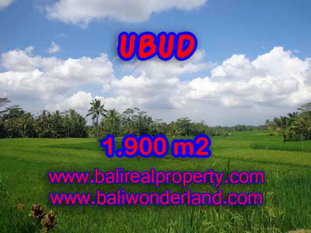 DIJUAL TANAH MURAH DI UBUD TJUB403