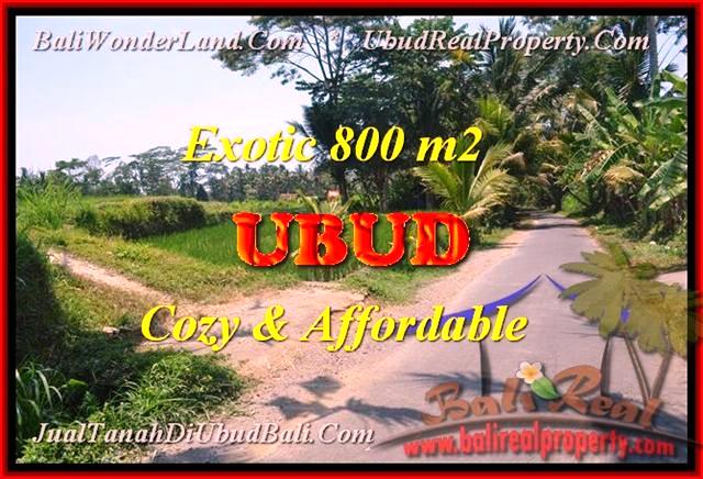 INVESTASI PROPERTY, DIJUAL TANAH MURAH di UBUD TJUB457