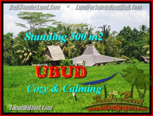 TANAH MURAH di UBUD 500 m2 di Ubud Payangan