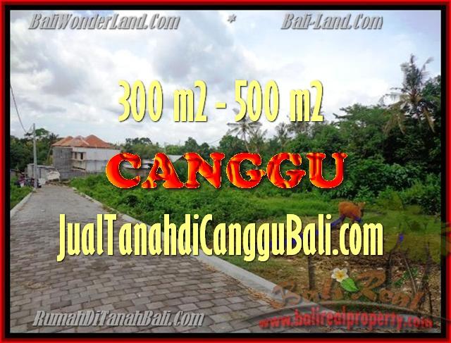 TANAH DIJUAL di CANGGU BALI 5,1 Are View Sawah