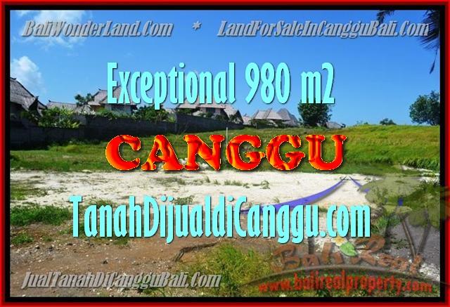 TANAH di CANGGU DIJUAL MURAH 980 m2 di Canggu Pererenan