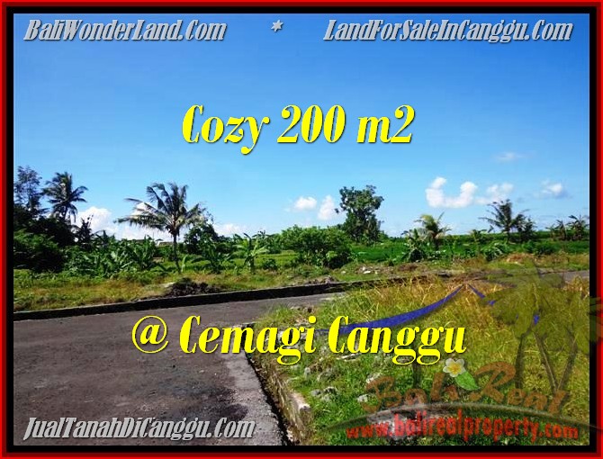 INVESTASI PROPERTY, TANAH di CANGGU DIJUAL MURAH TJCG171