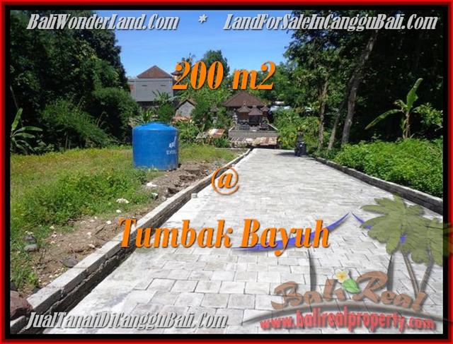 JUAL MURAH TANAH di CANGGU BALI 200 m2 View kebun pemukiman