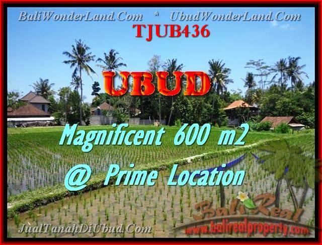 TANAH DIJUAL di UBUD 3 Are View sawah link villa