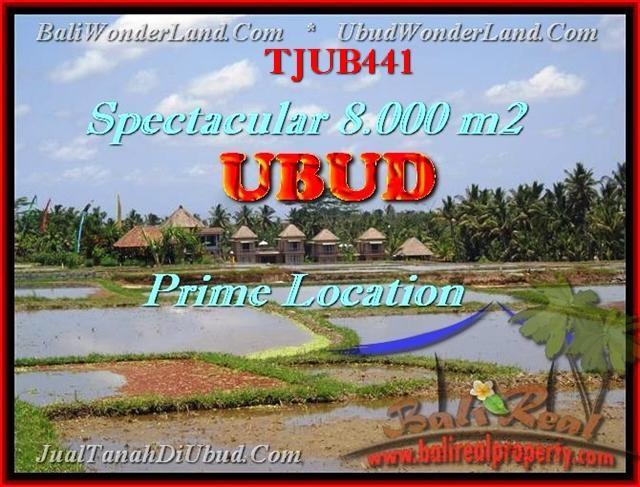 JUAL MURAH TANAH di UBUD BALI Untuk INVESTASI TJUB441