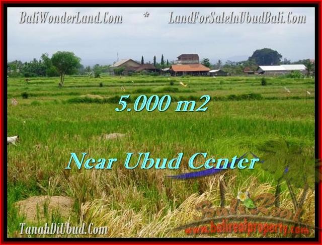 DIJUAL TANAH MURAH di UBUD 50 Are di Dekat sentral Ubud