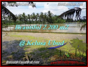 TANAH DIJUAL di UBUD Untuk INVESTASI TJUB475