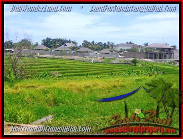 INVESTASI PROPERTI, TANAH di CANGGU BALI DIJUAL TJCG137