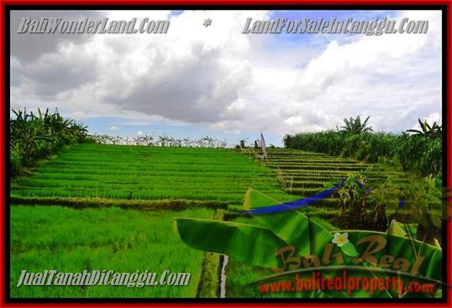 DIJUAL TANAH di CANGGU 290 m2 di Canggu Pererenan