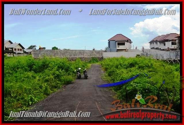 JUAL TANAH MURAH di CANGGU Untuk INVESTASI TJCG142