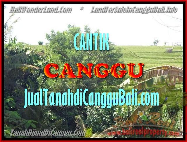 INVESTASI PROPERTI, TANAH MURAH DIJUAL di CANGGU BALI TJCG143