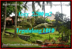 INVESTASI PROPERTI, TANAH DIJUAL di UBUD TJUB462