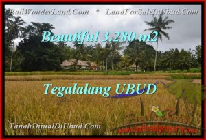 DIJUAL TANAH MURAH di UBUD BALI 3,280 m2 di Ubud Tegalalang