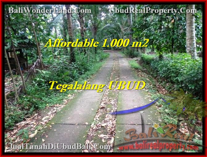 TANAH di UBUD BALI DIJUAL 10 Are View Kebun