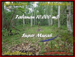 JUAL TANAH di TABANAN BALI 10.000 m2  Gunung dan Kota Denpasar