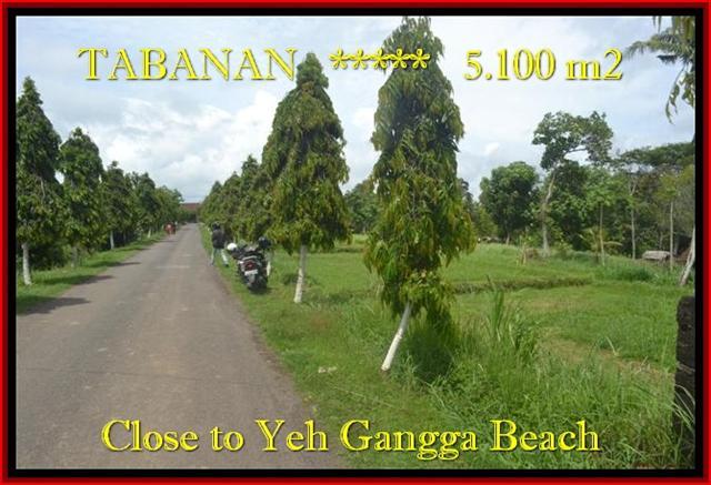 JUAL MURAH TANAH di TABANAN 5.100 m2 di Tabanan yeh Gangga