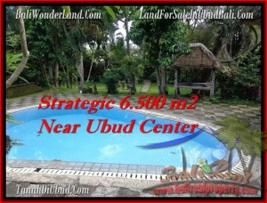 DIJUAL TANAH MURAH di UBUD 65 Are di Ubud Tegalalang