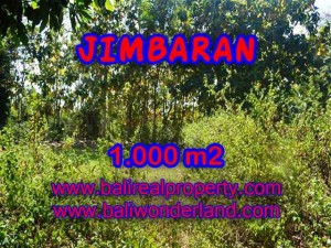 TANAH DIJUAL MURAH di JIMBARAN Untuk INVESTASI TJJI071