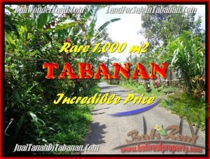 JUAL TANAH MURAH di TABANAN BALI 1.000 m2  View kebun