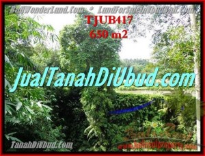 INVESTASI PROPERTY, DIJUAL TANAH MURAH di UBUD TJUB417