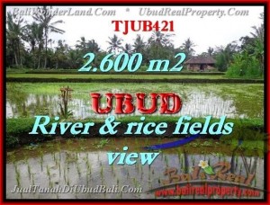 TANAH di UBUD BALI DIJUAL Untuk INVESTASI TJUB421