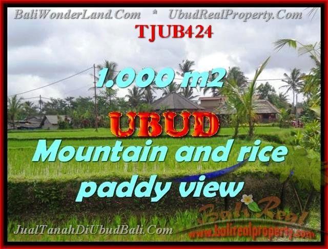 TANAH JUAL MURAH UBUD BALI 10 Are view sawah gunung dan tebing