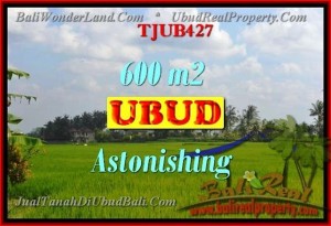 JUAL TANAH MURAH di UBUD 600 m2  View sungai dan sawah