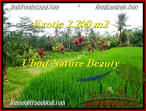 JUAL MURAH TANAH di UBUD BALI TJUB480