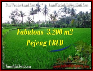 DIJUAL TANAH MURAH di UBUD Untuk INVESTASI TJUB484