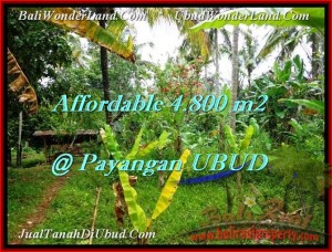 TANAH JUAL MURAH  UBUD BALI 4,800 m2  View tebing dan sungai