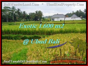 TANAH MURAH di UBUD BALI 16 Are View sawah lingkungan villa