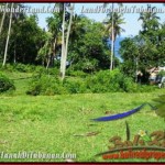 INVESTASI PROPERTY, JUAL TANAH MURAH di TABANAN BALI TJTB200