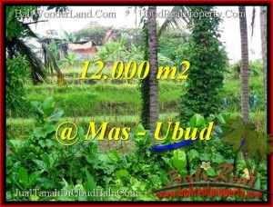 TANAH MURAH di UBUD BALI 120 Are di Sentral Ubud