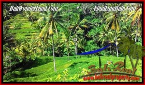 JUAL MURAH TANAH di UBUD 2,500 m2 di Ubud Tegalalang