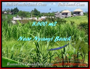 JUAL TANAH di TABANAN 85 Are View sawah dan Sungai 