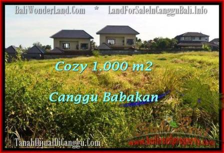 TANAH di CANGGU DIJUAL MURAH TJCG178