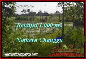 DIJUAL MURAH TANAH di CANGGU BALI 1,000 m2 di Canggu Batu Bolong 