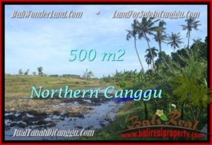 TANAH MURAH  di CANGGU BALI DIJUAL 500 m2  View sawah link villa