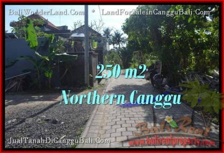 TANAH MURAH di CANGGU BALI DIJUAL 250 m2 View link villa