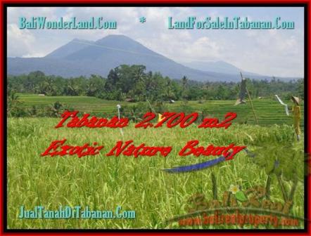 TANAH JUAL MURAH TABANAN 2.700 m2 Sawah, Gunung, Sungai dan Kota Denpasar