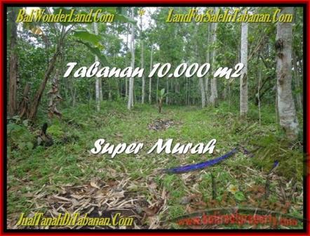 TANAH MURAH di TABANAN BALI 10.000 m2 di Tabanan Penebel